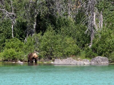 Lake Clark National Park