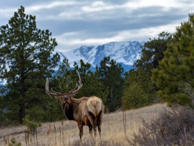 Rocky Mountain National Park
