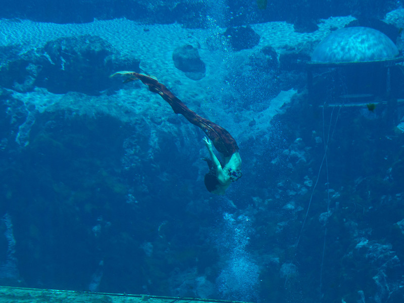 Weeki Wachee Springs State Park