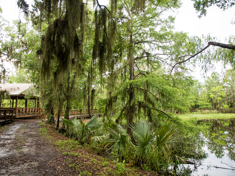 Jean Lafitte National Historical Park & Preserve