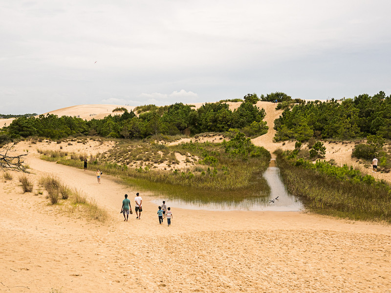 Jockey’s Ridge State Park