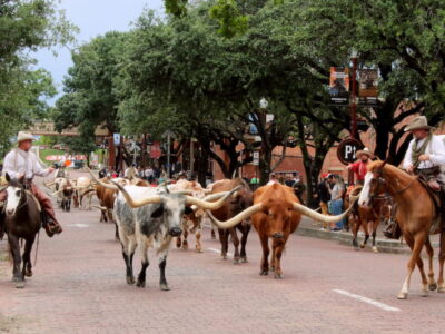 Fort Worth Stockyards