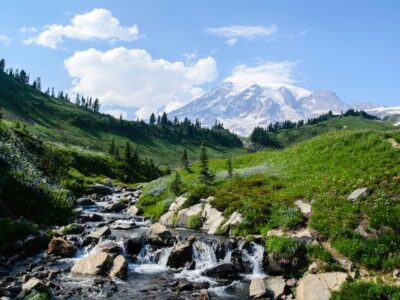 Mount Rainier National Park