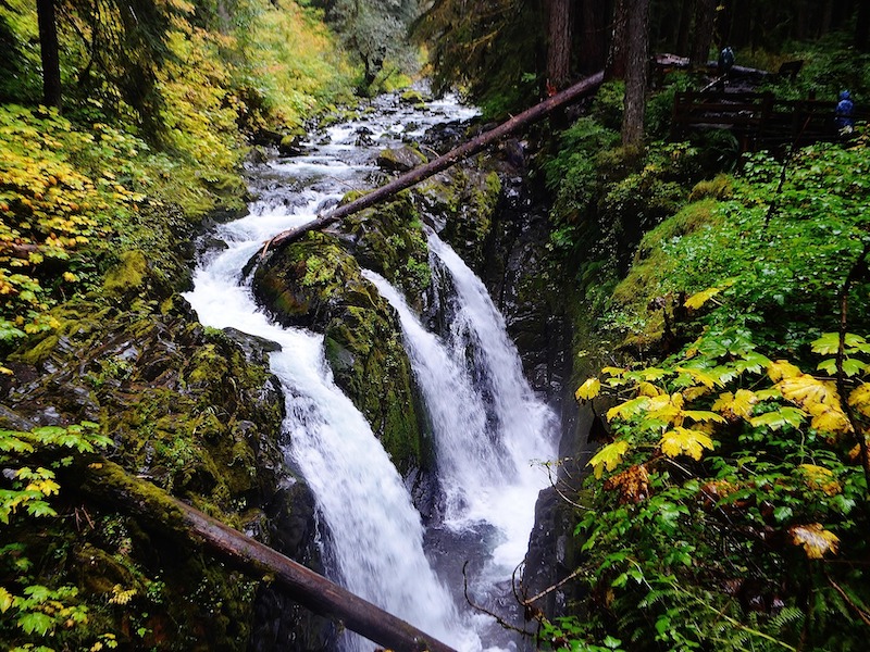 Olympic National Park